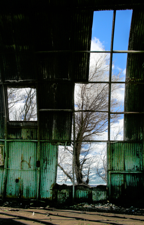 arbre en boite ciel normal.jpg